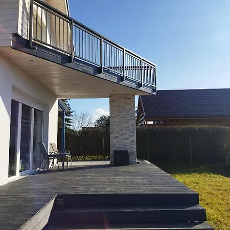 Aurea نوفي فاربنو