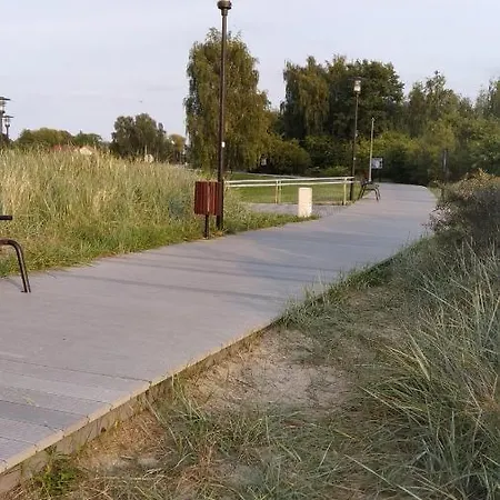 Aurea فيلة نوفي فاربنو