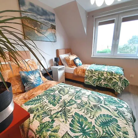 فيلة Aurea نوفي فاربنو