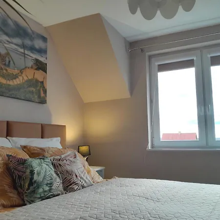 Aurea فيلة نوفي فاربنو