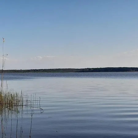 فيلة Aurea نوفي فاربنو