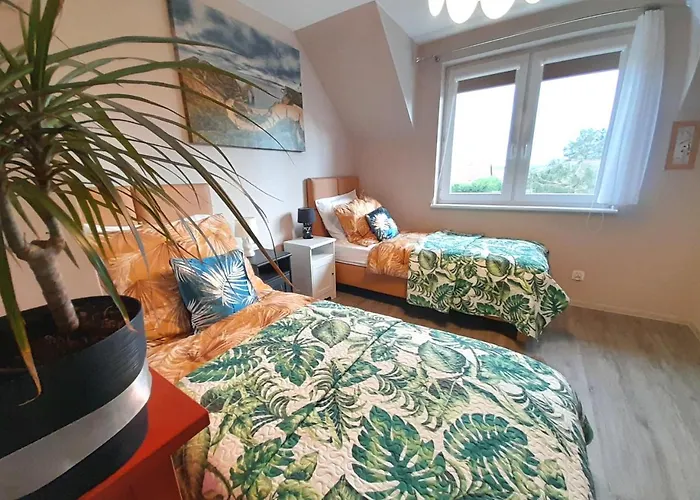 别墅 Aurea 新瓦尔普诺